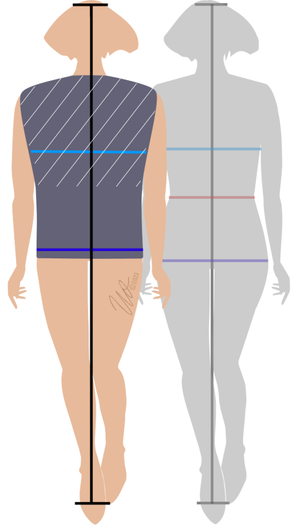 Grafik zu Figurtyp2 mit kurzem Oberkörper.