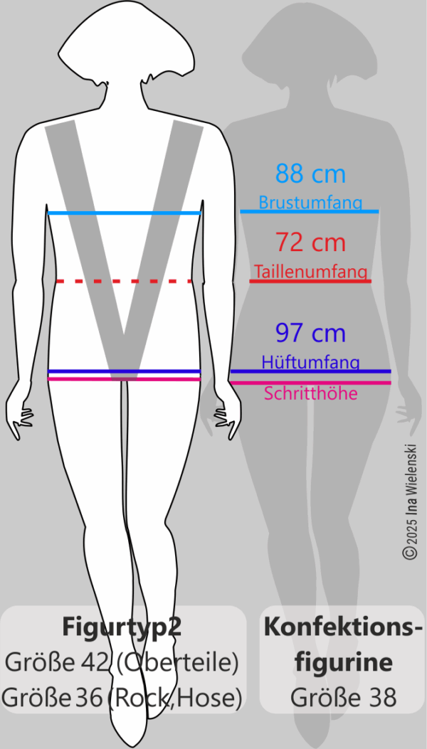 Die Figurtyp 2 - Figurine zeigt im Vergleich mit der Konfektionsfigurine einen betonten Oberkörper schmale Hüften und eine zu vernachlässigende Taille.